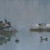 Lago di Guerino Morselli. Esempi di stampi di Moriglione "terribili". Ed Oche canadesi..